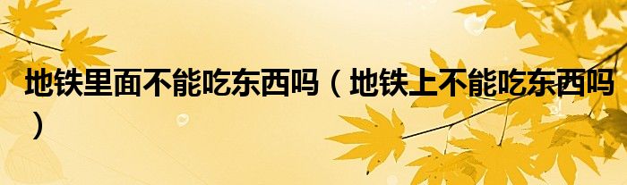 地铁里面不能吃东西吗（地铁上不能吃东西吗）