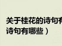 关于桂花的诗句有哪些解读图片（关于桂花的诗句有哪些）