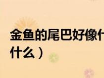 金鱼的尾巴好像什么比喻句（金鱼的尾巴好像什么）