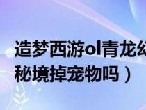 造梦西游ol青龙幻境掉青龙（造梦西游ol青龙秘境掉宠物吗）