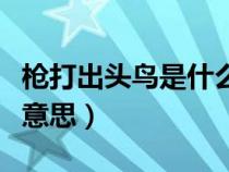 枪打出头鸟是什么意思啊（枪打出头鸟是什么意思）