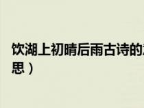 饮湖上初晴后雨古诗的意思20字（饮湖上初晴后雨古诗的意思）