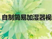 自制简易加湿器视频（如何自制简易加湿器）