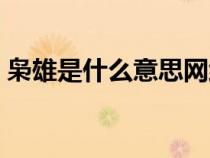 枭雄是什么意思网络用语（枭雄是什么意思）