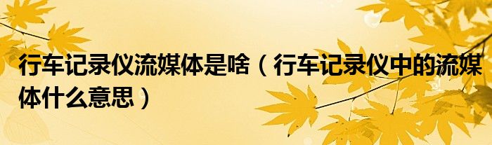 行车记录仪流媒体是啥（行车记录仪中的流媒体什么意思）