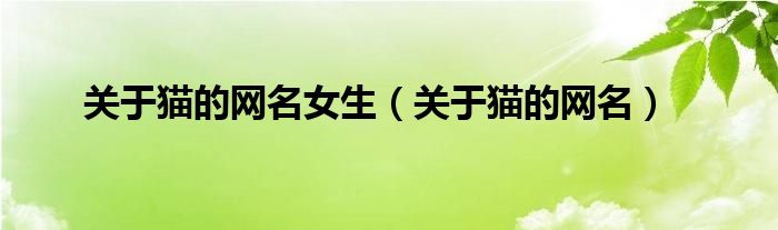 关于猫的网名女生（关于猫的网名）