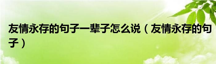 友情永存的句子一辈子怎么说（友情永存的句子）