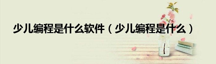 少儿编程是什么软件（少儿编程是什么）