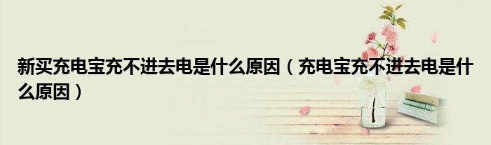 新买充电宝充不进去电是什么原因（充电宝充不进去电是什么原因）