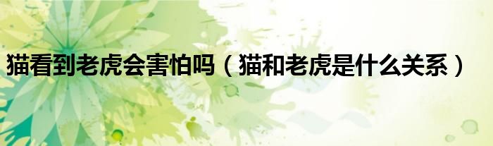 猫看到老虎会害怕吗（猫和老虎是什么关系）