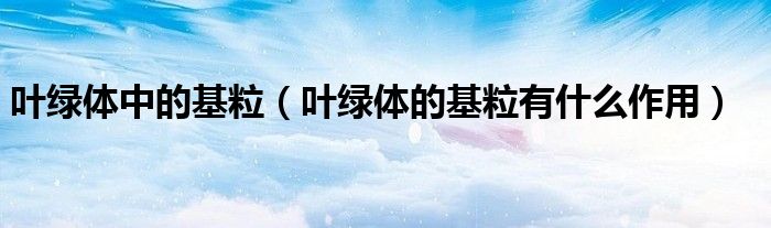 叶绿体中的基粒（叶绿体的基粒有什么作用）