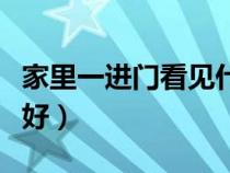 家里一进门看见什么最好（一进门看见什么最好）