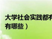 大学社会实践都有哪些内容（大学社会实践都有哪些）
