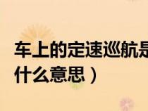 车上的定速巡航是什么（汽车中的定速巡航是什么意思）