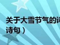 关于大雪节气的诗句及理解（关于大雪节气的诗句）