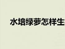 水培绿萝怎样生根（水培绿萝生根方法）