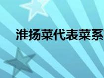 淮扬菜代表菜系有哪些（淮扬菜代表菜）