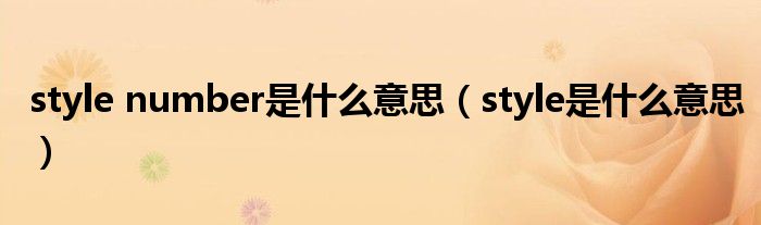 style number是什么意思（style是什么意思）