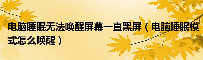 电脑睡眠无法唤醒屏幕一直黑屏（电脑睡眠模式怎么唤醒）