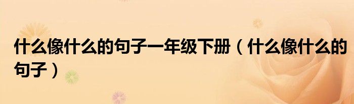 什么像什么的句子一年级下册（什么像什么的句子）