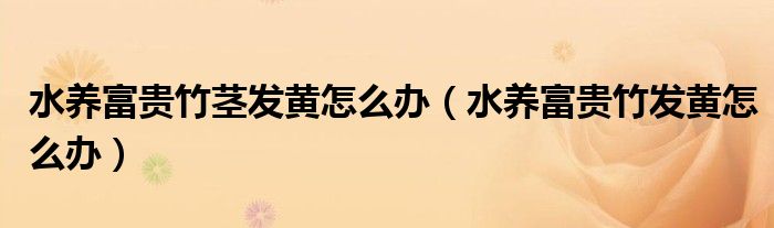 水养富贵竹茎发黄怎么办（水养富贵竹发黄怎么办）