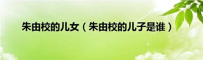 朱由校的儿女（朱由校的儿子是谁）