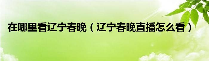 在哪里看辽宁春晚（辽宁春晚直播怎么看）