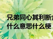 兄弟同心其利断金是什么意思（vcd兄弟vcd什么意思什么梗）