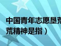 中国青年志愿垦荒精神实质（中国志愿青年垦荒精神是指）