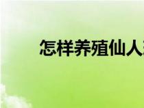 怎样养殖仙人球（养殖仙人球方法）