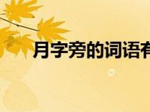 月字旁的词语有（月字旁的词语举例）