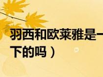 羽西和欧莱雅是一个公司吗（羽西是欧莱雅旗下的吗）