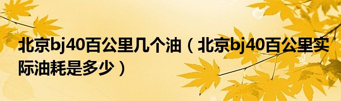 北京bj40百公里几个油（北京bj40百公里实际油耗是多少）
