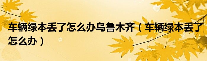 车辆绿本丢了怎么办乌鲁木齐（车辆绿本丢了怎么办）