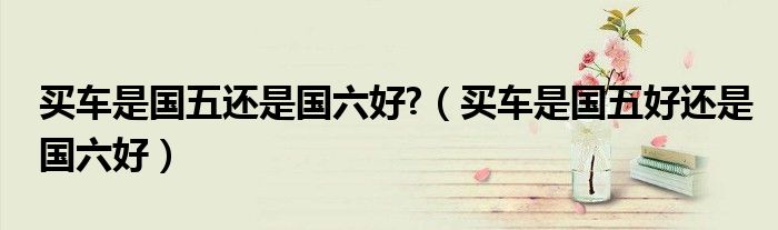买车是国五还是国六好?（买车是国五好还是国六好）