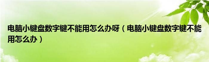 电脑小键盘数字键不能用怎么办呀（电脑小键盘数字键不能用怎么办）