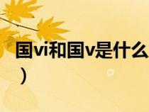 国vi和国v是什么意思（国vi和国v区别有哪些）