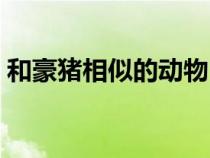 和豪猪相似的动物（豪猪和哪种动物是近亲）