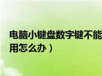 电脑小键盘数字键不能用怎么办呀（电脑小键盘数字键不能用怎么办）