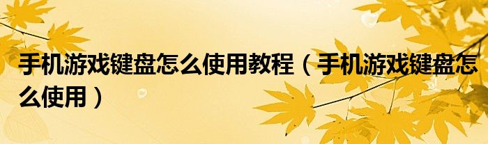 手机游戏键盘怎么使用教程（手机游戏键盘怎么使用）