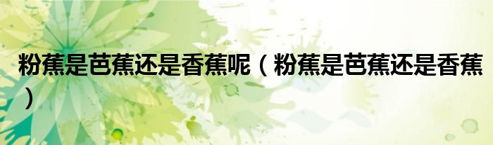 粉蕉是芭蕉还是香蕉呢（粉蕉是芭蕉还是香蕉）