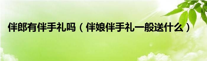 伴郎有伴手礼吗（伴娘伴手礼一般送什么）