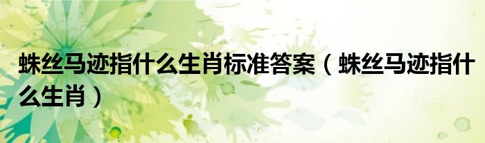 蛛丝马迹指什么生肖标准答案（蛛丝马迹指什么生肖）