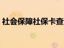 社会保障社保卡查询（社会保障卡网上查询）
