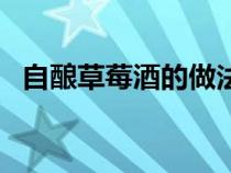 自酿草莓酒的做法（酿草莓酒的方法步骤）