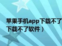 苹果手机app下载不了软件显示末完成付款（苹果手机app下载不了软件）