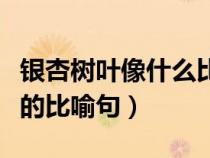银杏树叶像什么比喻句大全（银杏树叶像什么的比喻句）