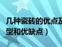 几种瓷砖的优点及适用性（了解一下瓷砖的类型和优缺点）