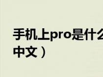 手机上pro是什么意思中文(pro是什么意思中文) 手机上pro是什么意思中文(pro是什么意思中文)