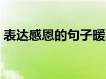 表达感恩的句子暖心（感恩的句子说说心情）